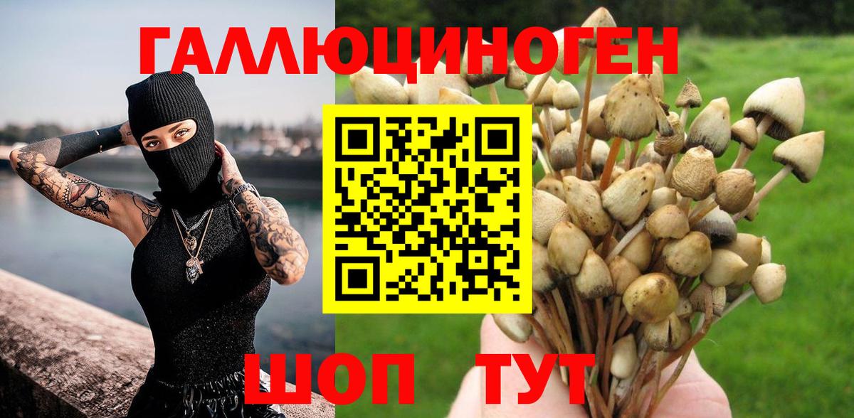 Гай  Галлюциногенные грибы мицелий  Вход с VPN 