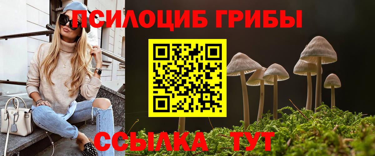 Галлюциногенные грибы MAGIC MUSHROOMS Гай