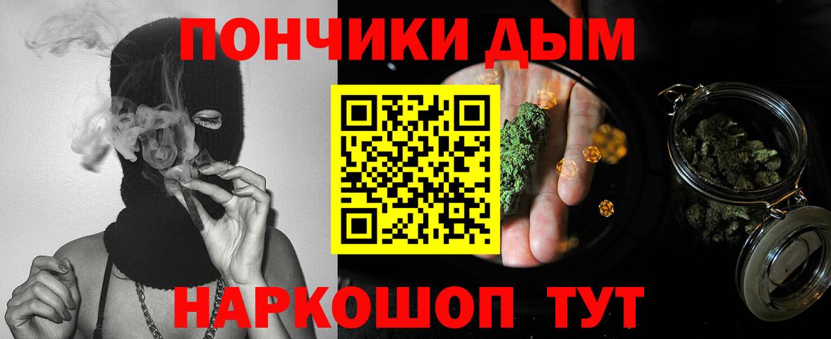 Канабис сатива Гай